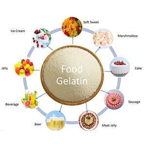 Food Grade beef skin hide Halal Kosher gelatin Beef skin bone Gelatine 120 160 180 250 280 bloom